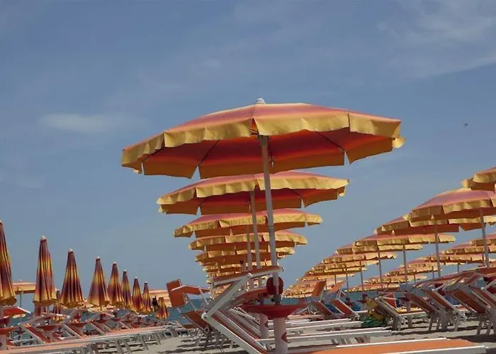 Color Miami Family 4*