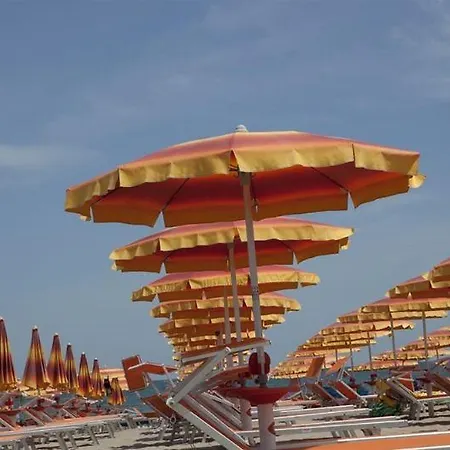 Color Miami Family 4*